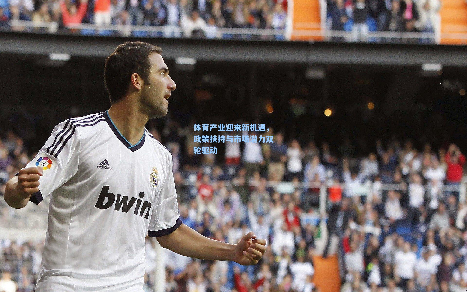 pg电子娱乐：体育产业迎来新机遇，政策扶持与市场潜力双轮驱动