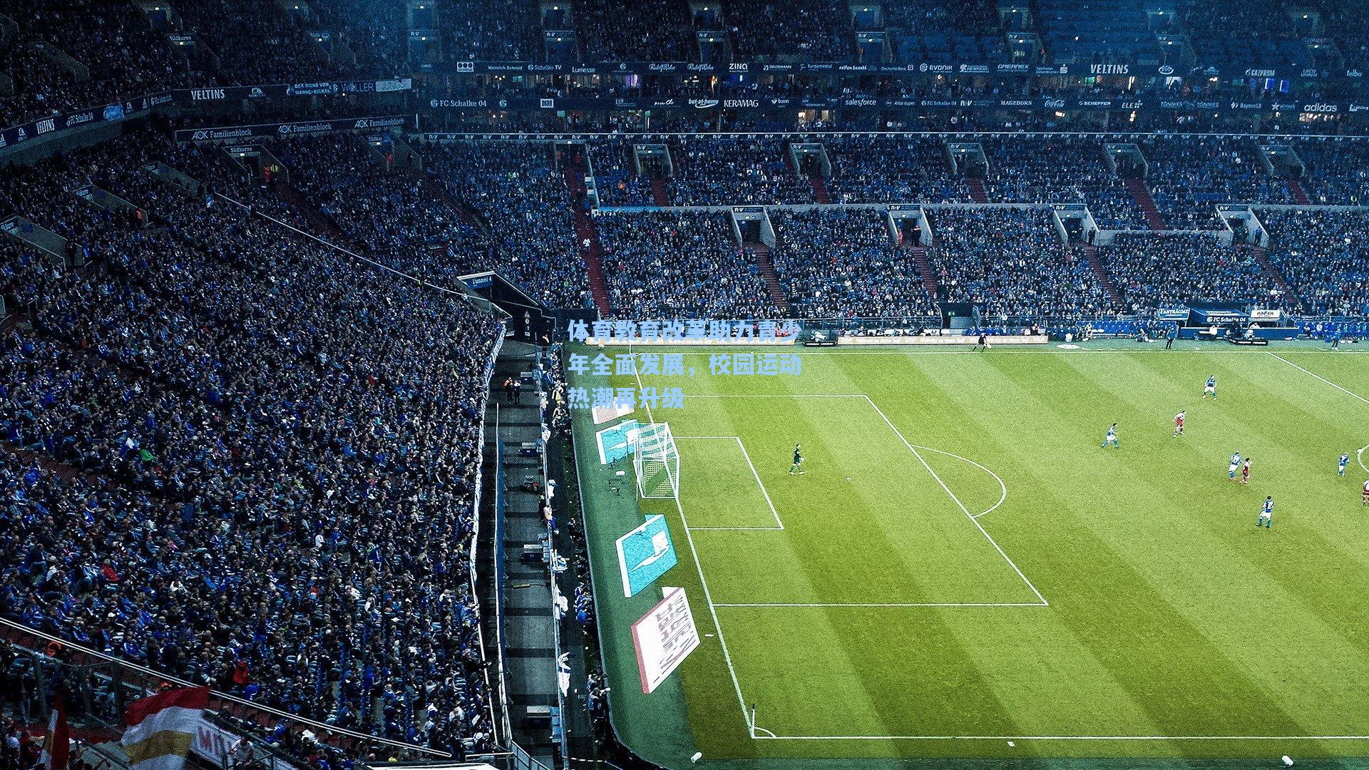 pg电子模拟器-体育教育改革助力青少年全面发展，校园运动热潮再升级