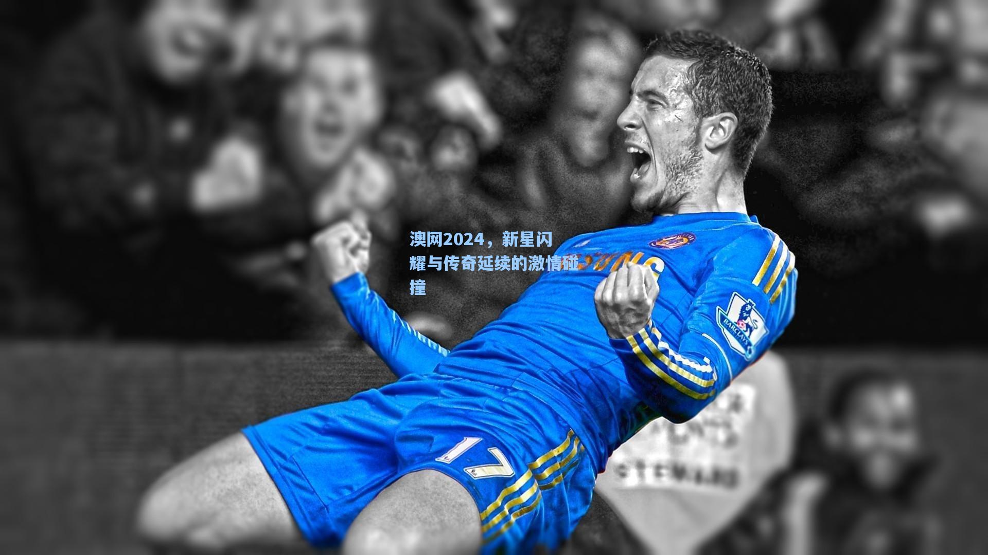 pg模拟器_澳网2024，新星闪耀与传奇延续的激情碰撞